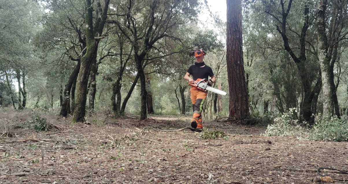 Treballs forestals i poda