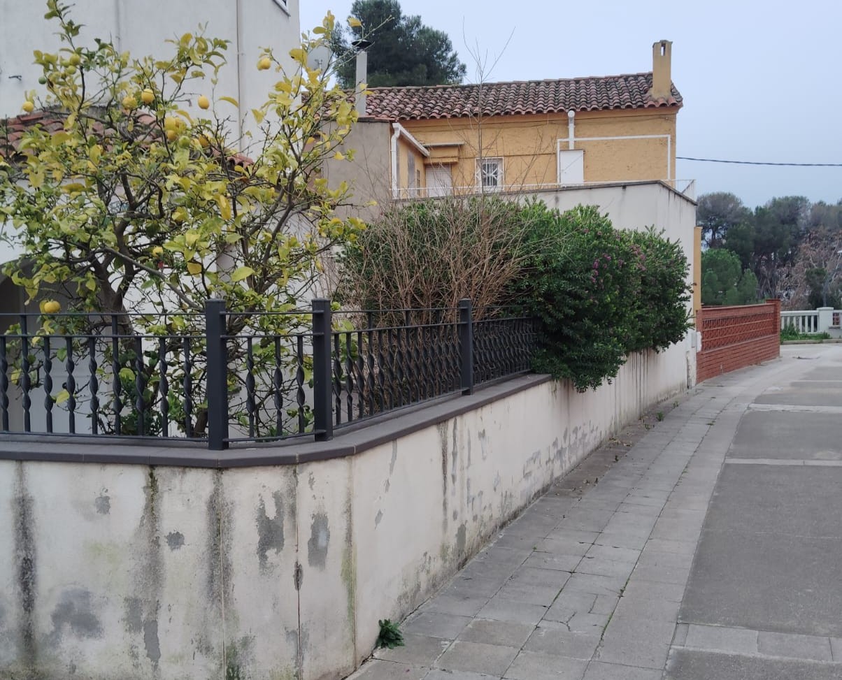 Poda d’arbust Polygala en jardí residencial