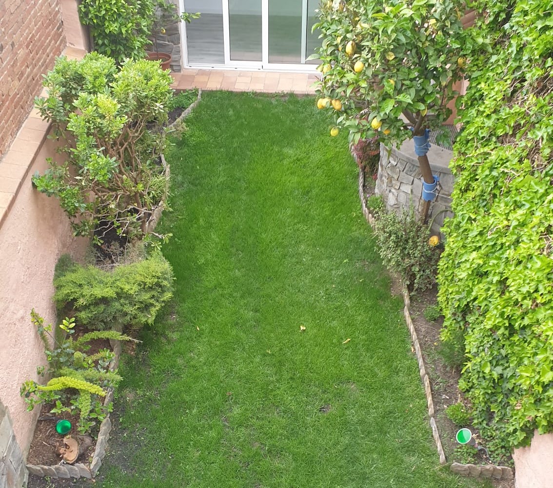 Jardí amb gespa verda