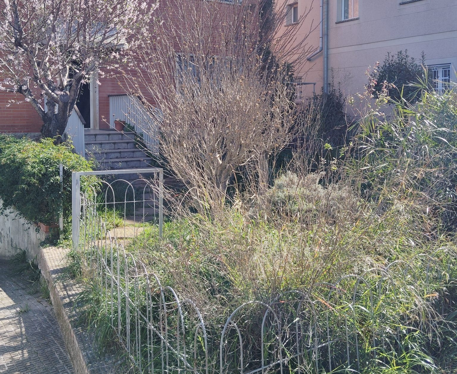 Manteniment de jardins